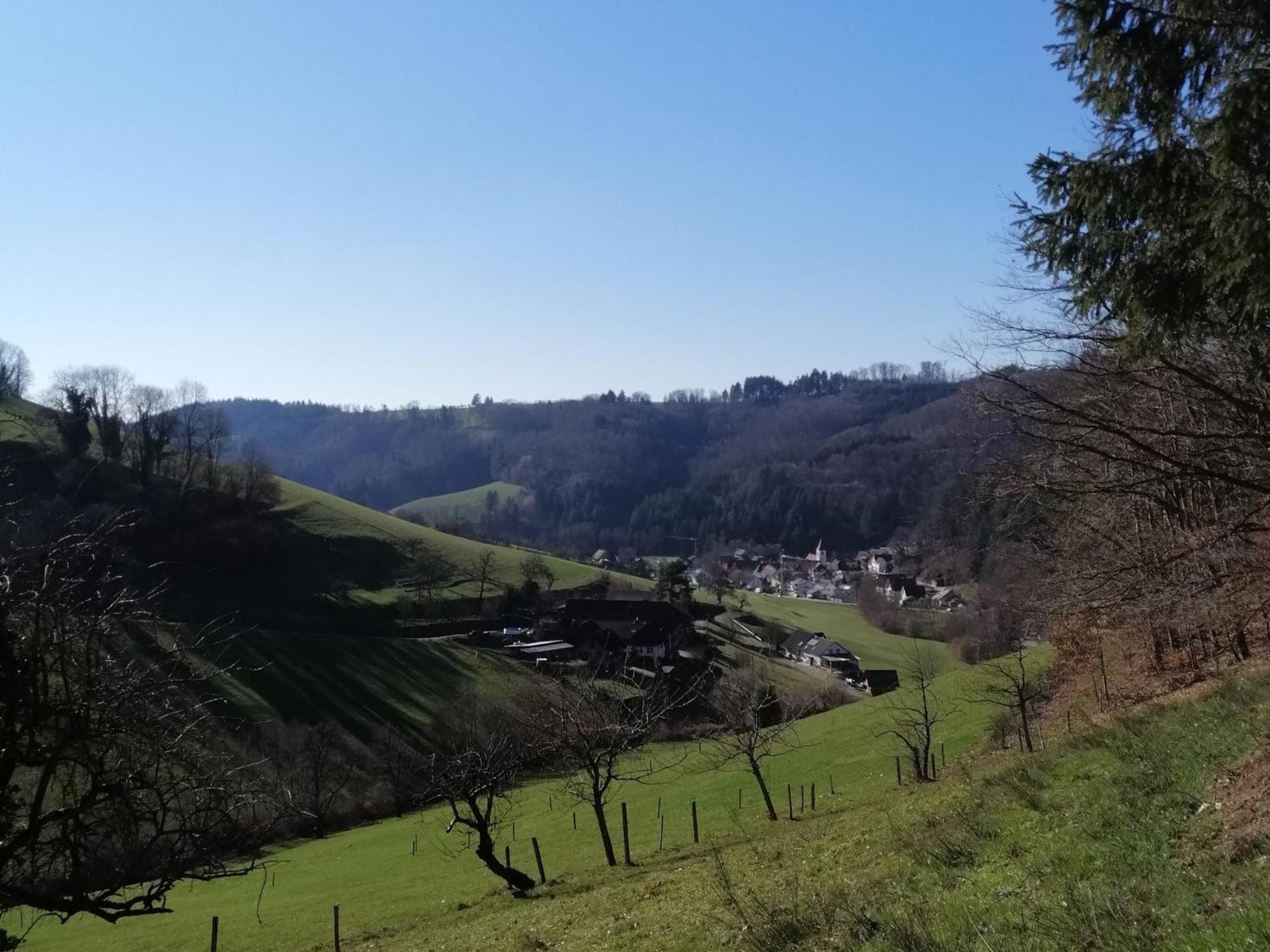 Ferienwohnung Am Spielberg Freiamt Exterior foto
